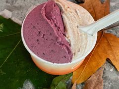 -Dip in Gelato(富民路店)