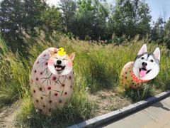 -亿利库布其七星湖沙漠生态旅游区