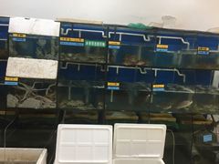 -胖大嫂渔家排档(半边山店)