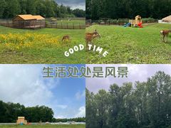 -长白山万达国际度假区