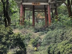 -广州市帽峰山景区