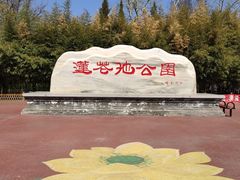 -莲花池公园