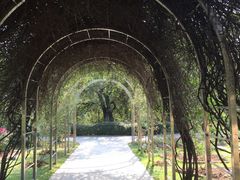 -人民公园(罗湖区)