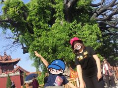 -大槐树寻根祭祖园