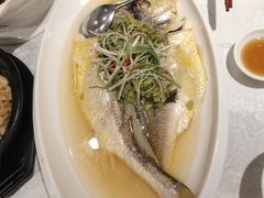 -老人和饭店(打浦路店)