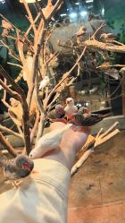 -Zoolung Zoolung动物主题公园(海信广场店)