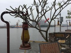 -喜洲吧·江畔老船厂·庭院餐厅(喜临院店)