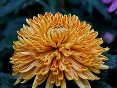 -共青国家森林公园-售票处