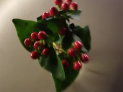 -Ginger(兴国路店)