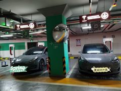 -TESLA 特斯拉(郑州正弘城体验店)