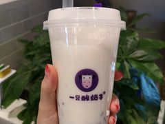 -一只酸奶牛(八一路店)