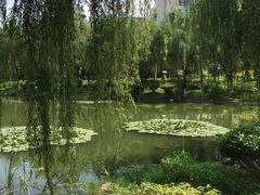 -后襄河公园