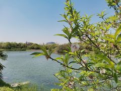 -无锡蠡湖国家湿地公园-蠡园
