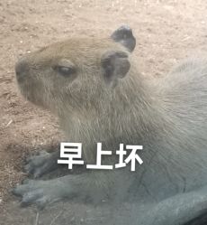 点击看大图 -Zoolung Zoolung动物主题公园(海信广场店)