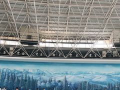 -世界之窗阿尔卑斯冰雪世界