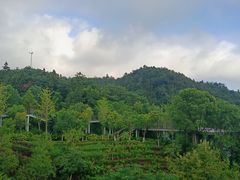 -万达广场(南京江宁店)