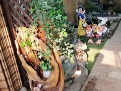 -双季花艺园艺市场(浦东店)
