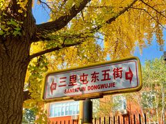 -三里屯东五街银杏大道