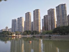 -光明港公园