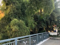 -江头公园