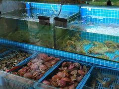 -老东镇啤酒屋海鲜加工·蒸汽海鲜·海鲜烧烤(台东店)