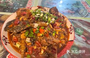 Killer Stewed Softshell Turtle