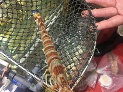 -鲤鱼门海鲜街