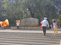 -龙沙公园