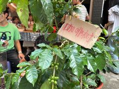 -正宗杨记普洱酸醋米线(总店)