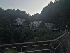 -云溪植物园