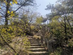 -燕窝岭
