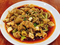 -巷子肥肠(科华巷店)