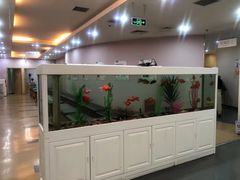 -慈铭体检(洋桥分院)