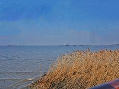-上海吴淞炮台湾国家湿地公园