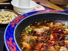 -一只烧鸡公(解放碑店)