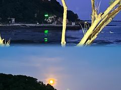 -烟墩角天鹅湖