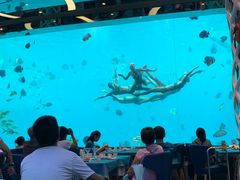 -瑞德姆美人鱼海底演艺主题餐厅(亚龙湾店)