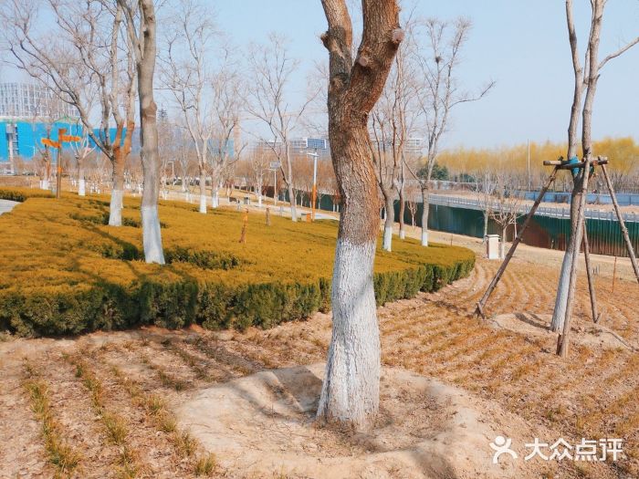 北龙湖湿地公园图片