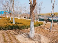 -北龙湖湿地公园