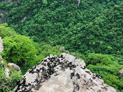 -牛背梁国家森林公园