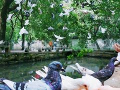 -西园戒幢律寺