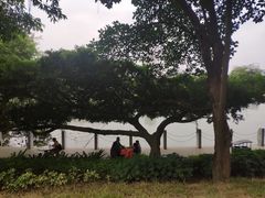 -南宁南湖公园