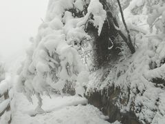 -神农山景区