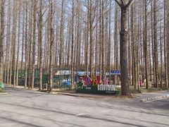 -日照海滨国家森林公园
