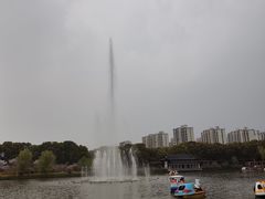 -南汇桃花村