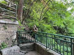 -黔灵山公园