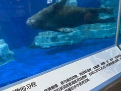 -南京海底世界