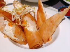 -点都德·毕德寮