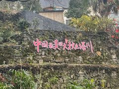 -塔川景区