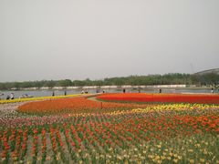 -廊坊文化艺术中心